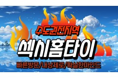 섹시홈타이