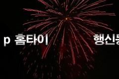 VIP홈타이 / (행신동)