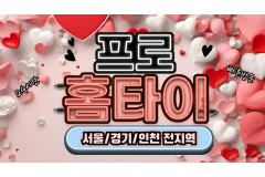 프로홈타이 / 금천구,시흥