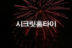 시크릿홈타이