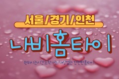나비홈타이