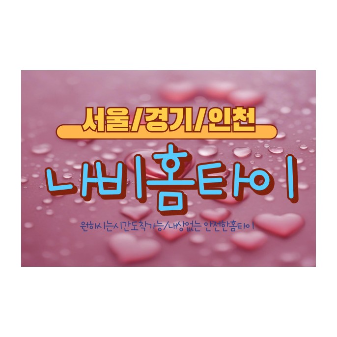 나비홈타이