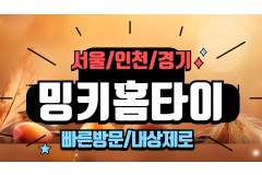 밍키홈타이