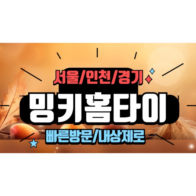 밍키홈타이
