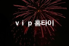 VIP홈타이