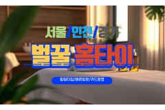 벌꿀홈타이 / 강북