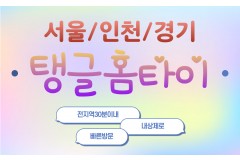 탱글홈타이