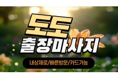세교동출장마사지 / 도도홈타이
