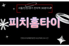 피치홈타이 / 중구,수표동